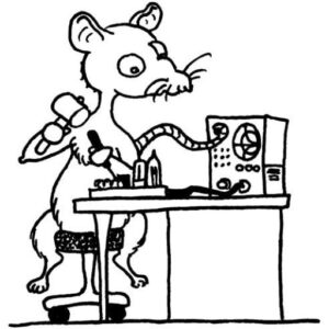 Bokningen för V/U/SHF mötet 2026 har öppnat!