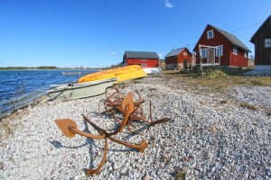 Field Day på Gotland