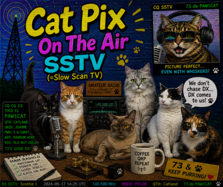 ”Cat Pix On The Air.”